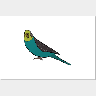 Curious Blue Parakeet Posters and Art